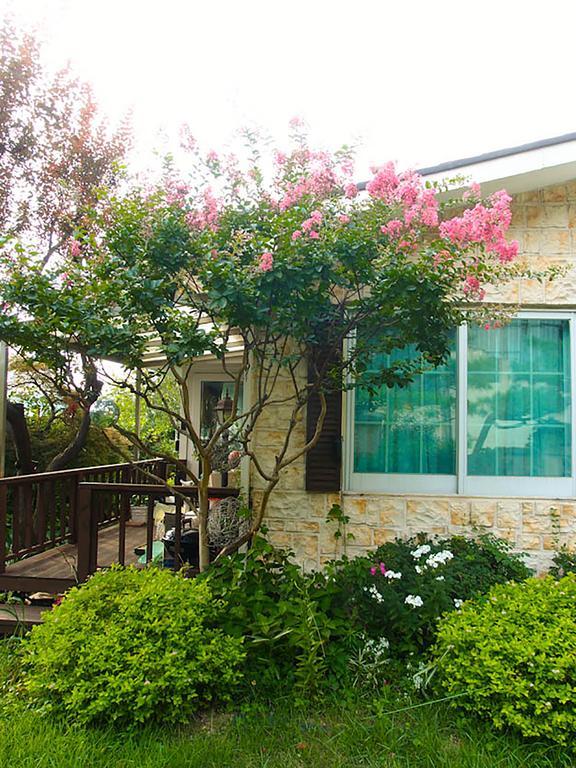 Cindy'S B&B Seoul Luaran gambar